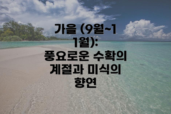 가을 (9월~11월): 풍요로운 수확의 계절과 미식의 향연