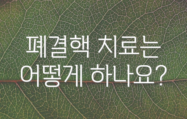 폐결핵 치료는 어떻게 하나요?