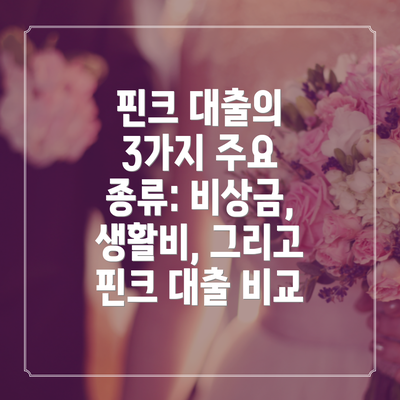 핀크 대출의 3가지 주요 종류: 비상금, 생활비, 그리고 핀크 대출 비교