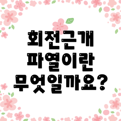회전근개 파열이란 무엇일까요?