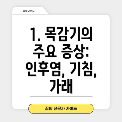 1. 목감기의 주요 증상: 인후염, 기침, 가래