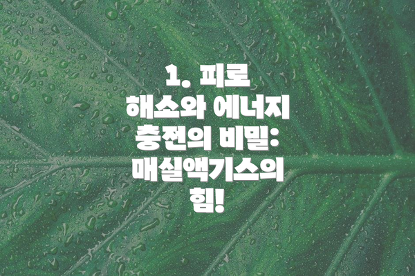1. 피로 해소와 에너지 충전의 비밀: 매실액기스의 힘!
