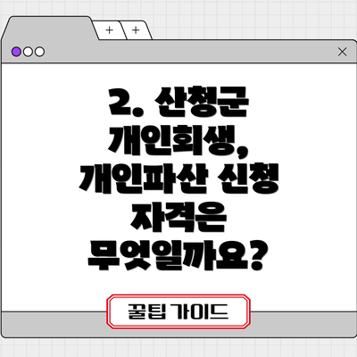 2. 산청군 개인회생, 개인파산 신청 자격은 무엇일까요?