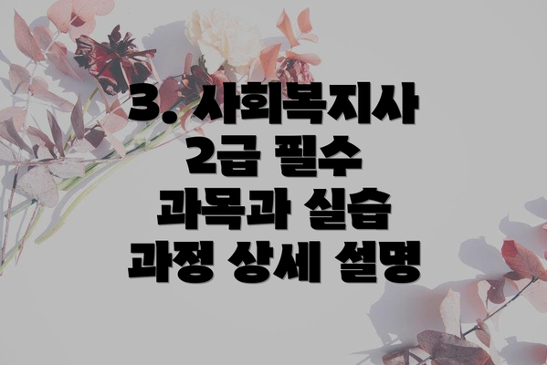 3. 사회복지사 2급 필수 과목과 실습 과정 상세 설명