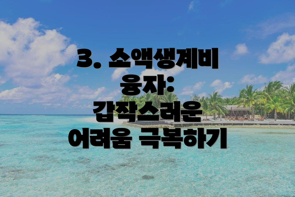 3. 소액생계비 융자: 갑작스러운 어려움 극복하기