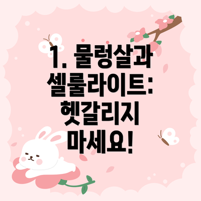 1. 물렁살과 셀룰라이트: 헷갈리지 마세요!