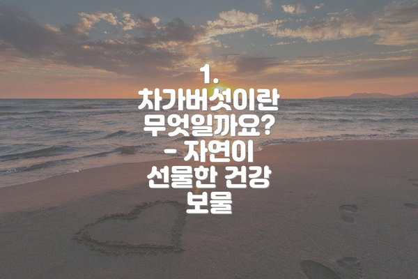 1. 차가버섯이란 무엇일까요?  - 자연이 선물한 건강 보물