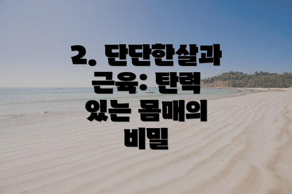 2. 단단한살과 근육: 탄력 있는 몸매의 비밀