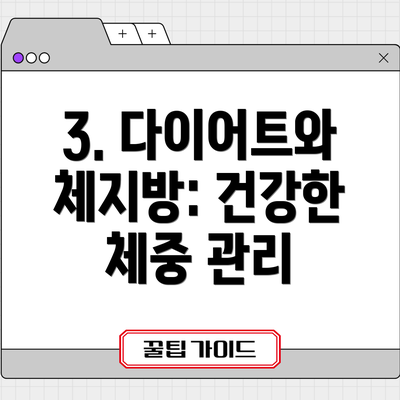 3. 다이어트와 체지방: 건강한 체중 관리