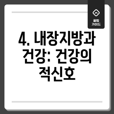 4. 내장지방과 건강: 건강의 적신호