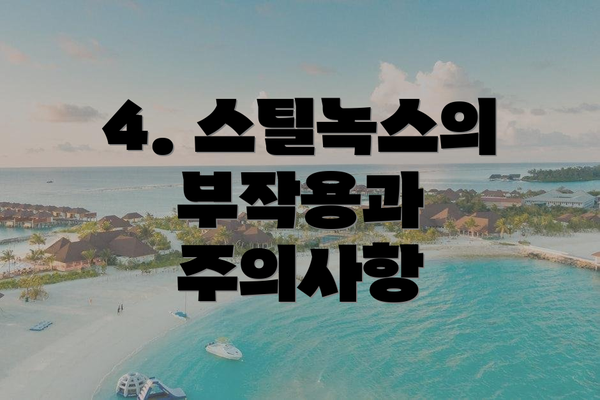 4. 스틸녹스의 부작용과 주의사항