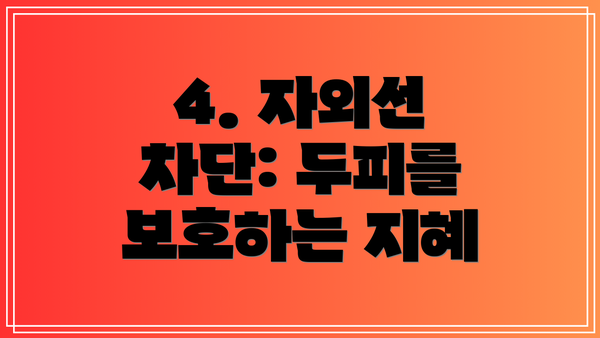 4. 자외선 차단: 두피를 보호하는 지혜
