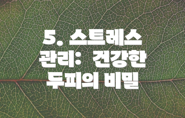 5. 스트레스 관리:  건강한 두피의 비밀