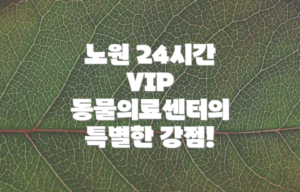 노원 24시간 VIP 동물의료센터 건강검진 항목 및 비용