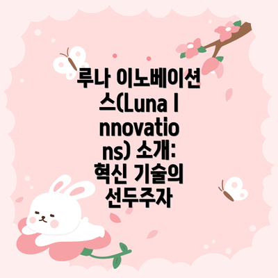 루나 이노베이션스(Luna Innovations) 소개: 혁신 기술의 선두주자