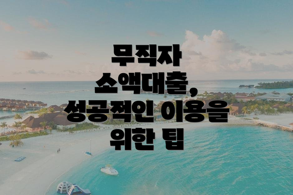 무직자 소액대출, 성공적인 이용을 위한 팁