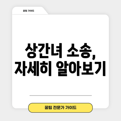 상간녀 소송, 자세히 알아보기
