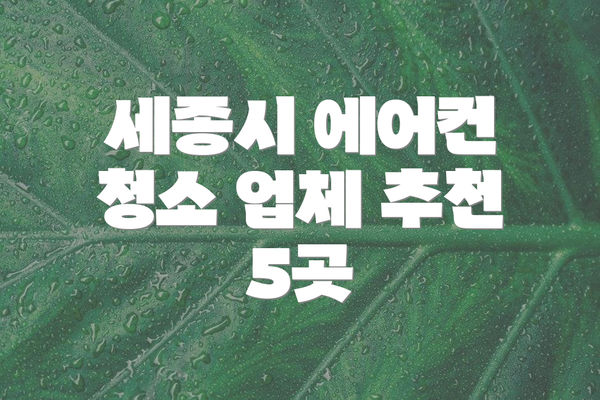 세종시 에어컨 청소 업체 추천 5곳