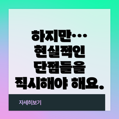 하지만… 현실적인 단점들을 직시해야 해요.