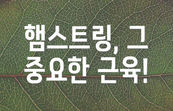 햄스트링, 그 중요한 근육!