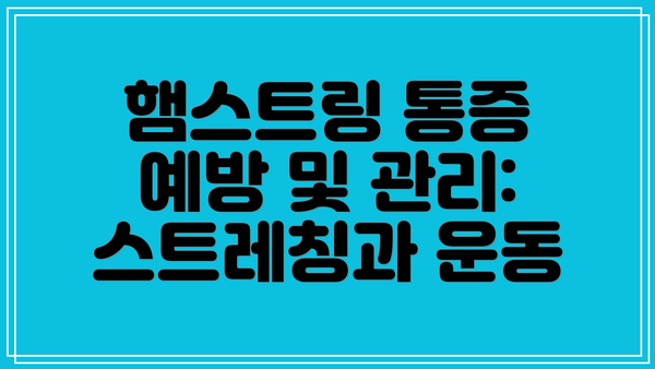 햄스트링 통증 예방 및 관리: 스트레칭과 운동