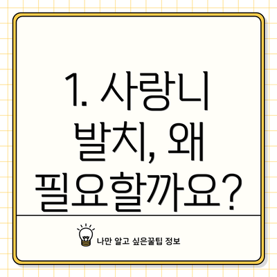 1. 사랑니 발치, 왜 필요할까요?