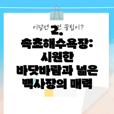 2. 속초해수욕장: 시원한 바닷바람과 넓은 백사장의 매력