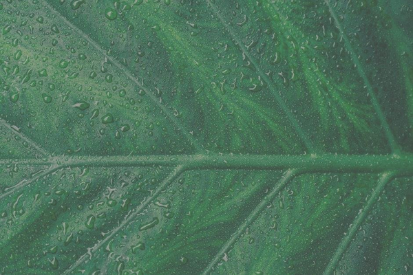 2. 청양군 일자리센터 이용 방법: 정보 접근의 다양성