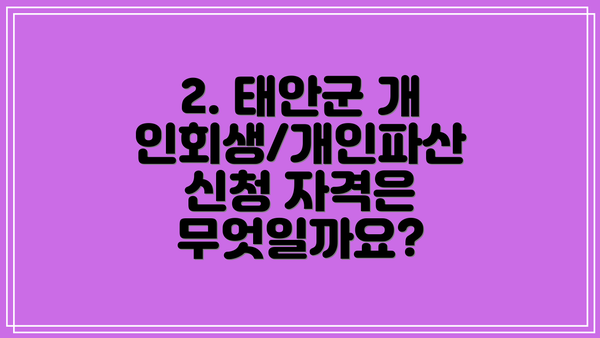 2. 태안군 개인회생/개인파산 신청 자격은 무엇일까요?