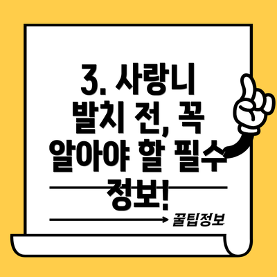3. 사랑니 발치 전, 꼭 알아야 할 필수 정보!
