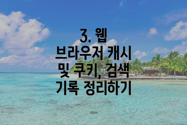 3. 웹 브라우저 캐시 및 쿠키, 검색 기록 정리하기