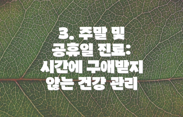 3. 주말 및 공휴일 진료: 시간에 구애받지 않는 건강 관리