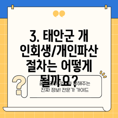 3. 태안군 개인회생/개인파산 절차는 어떻게 될까요?