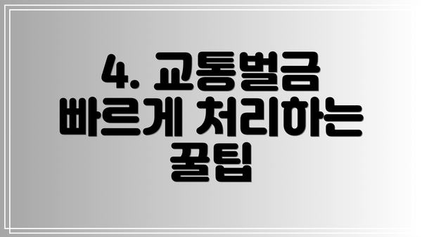 4. 교통벌금 빠르게 처리하는 꿀팁