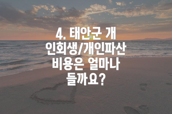 4. 태안군 개인회생/개인파산 비용은 얼마나 들까요?
