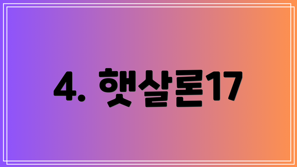 4. 햇살론17