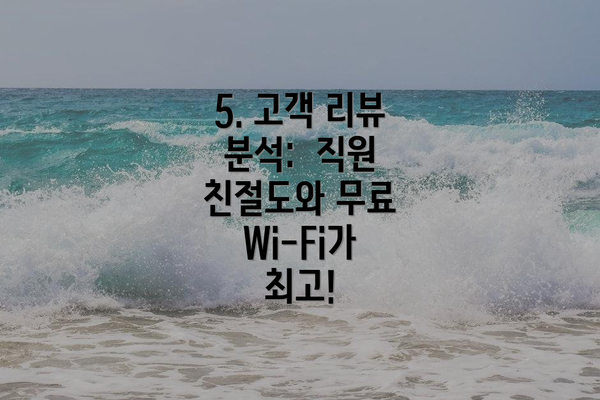 5. 고객 리뷰 분석:  직원 친절도와 무료 Wi-Fi가 최고!