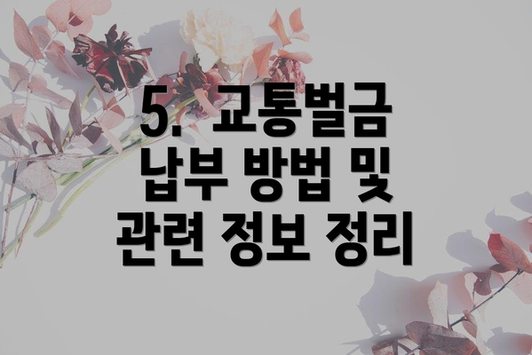 5.  교통벌금 납부 방법 및 관련 정보 정리