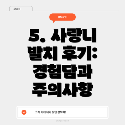 5. 사랑니 발치 후기: 경험담과 주의사항