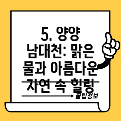 5. 양양 남대천: 맑은 물과 아름다운 자연 속 힐링