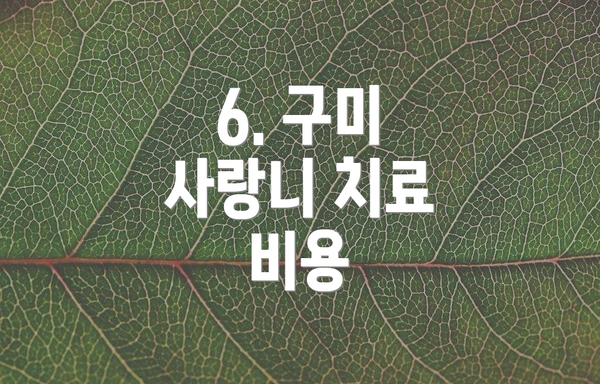 6. 구미 사랑니 치료 비용