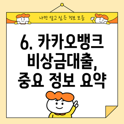 6. 카카오뱅크 비상금대출, 중요 정보 요약