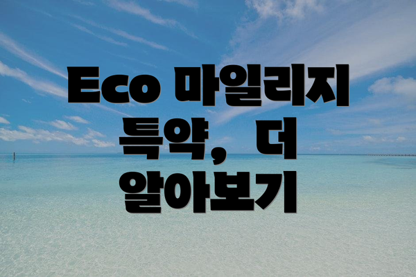 Eco 마일리지 특약,  더 알아보기